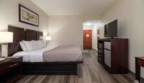 Room, 1 King Bed, Accessible, Non Smoking