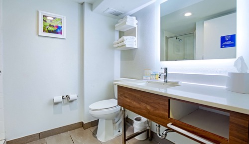 Suite, 1 King Bed, Non Smoking