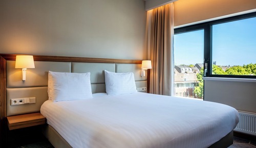 Standard Room, 1 King Bed (Walk-In Shower)