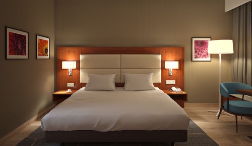 Standard Room, 1 Queen Bed, Accessible