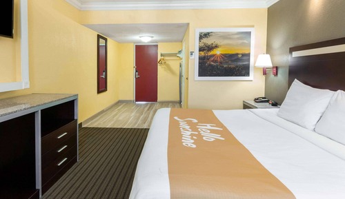 Room, 1 King Bed, Accessible, Smoking (Bathtub)