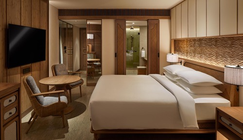 Room, 1 King Bed