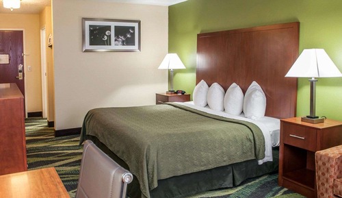 Business Room, 1 King Bed, Non Smoking