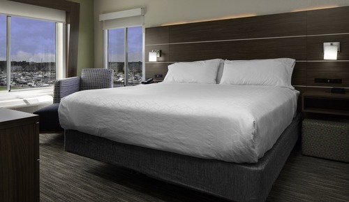 Standard Room, 1 King Bed, Accessible (Communications, Roll-In Shower)