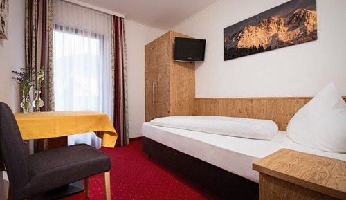 Single Room, Balcony, Mountain View