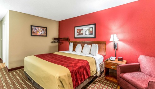 Room, 1 King Bed, Accessible, Non Smoking