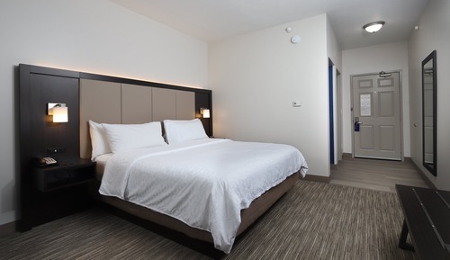 Room, 1 King Bed, Non Smoking