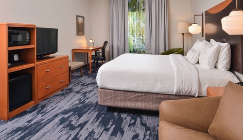 Room, 1 King Bed with Sofa bed