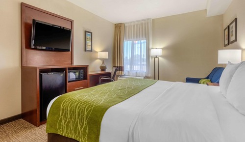 Suite, 1 King Bed with Sofa bed, Non Smoking