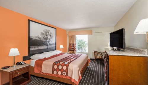 Room, 1 King Bed, Accessible, Non Smoking (Mobility Accessible)