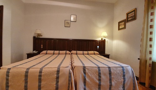 Basic Twin Room