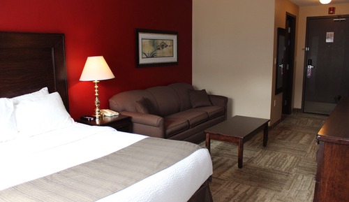 Room, 1 Queen Bed