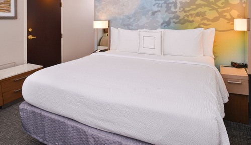 Room, 1 King Bed with Sofa bed (Mobility/Hearing Accessible, Tub)