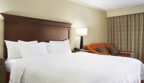 Business Room, 1 King Bed
