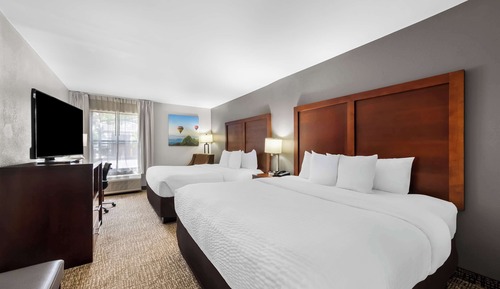 Standard Room, Multiple Beds, Non Smoking (2 king beds)