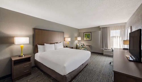 Standard Room, 1 King Bed, Non Smoking