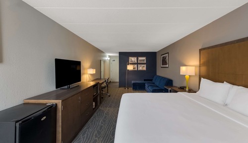 Suite, 1 King Bed, Non Smoking
