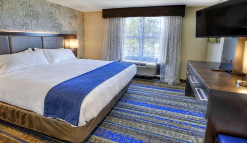 Suite, 1 King Bed, Accessible (Mobility, Roll-In Shower)