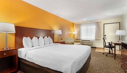 Standard Room, 1 King Bed