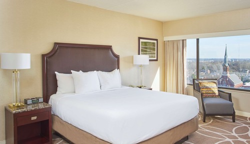 Room, 1 King Bed