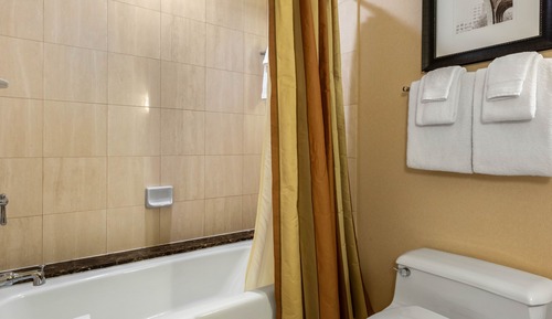 Premier Room, 1 King Bed