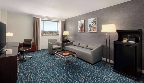 1 King Executive Suite