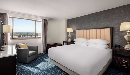 1 King One Bedroom Presidential Suite