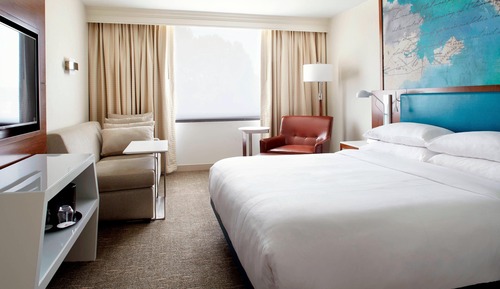 Room, 1 King Bed (Mobility/Hearing Access, Roll-In Shwr)