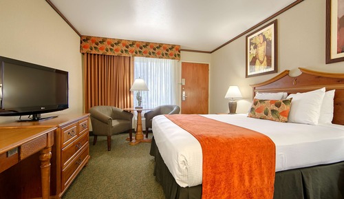 Standard Room, 1 Queen Bed, Non Smoking