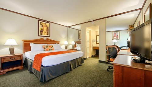 Suite, 1 King Bed, Non Smoking, Refrigerator & Microwave (with Sofabed)