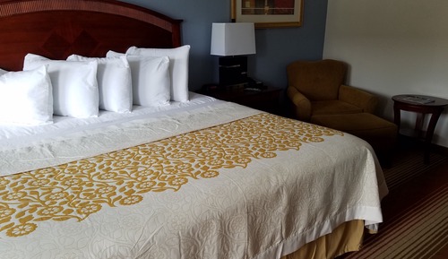 Room, 1 King Bed, Non Smoking