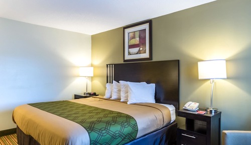 Standard Room, 1 King Bed, Accessible, Non Smoking