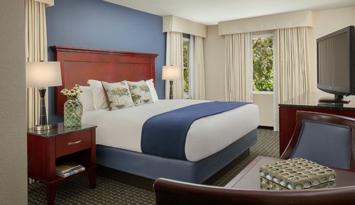 Room, 1 King Bed