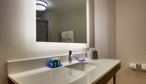 Standard Room, 1 King Bed, Mobility Accessible (Roll-In Shower)