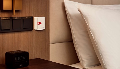 Room, 1 King Bed, Accessible (Roll-In Shower)