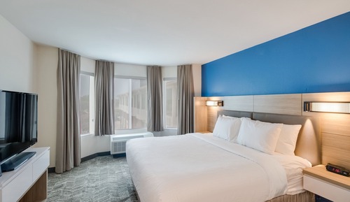 Suite, 1 King Bed with Sofa bed