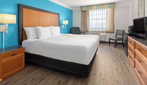 Room, 1 King Bed, Non Smoking (Pet-Friendly)