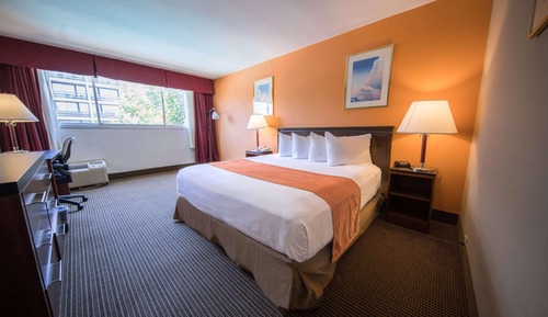 Room, 1 King Bed, Accessible, Non Smoking (Mobility/Hearing Impaired)