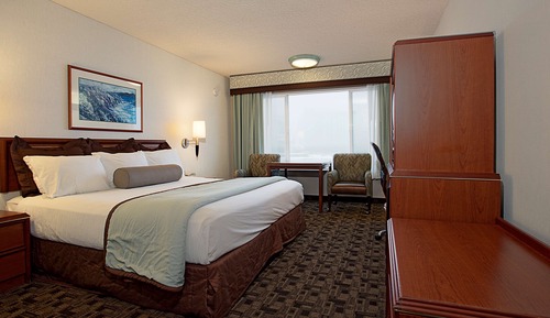 Standard Room, 1 King Bed, Ocean View