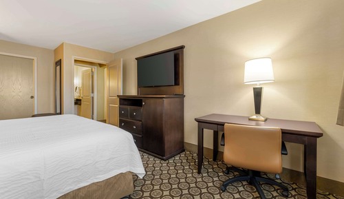Suite, 1 King Bed, Refrigerator & Microwave