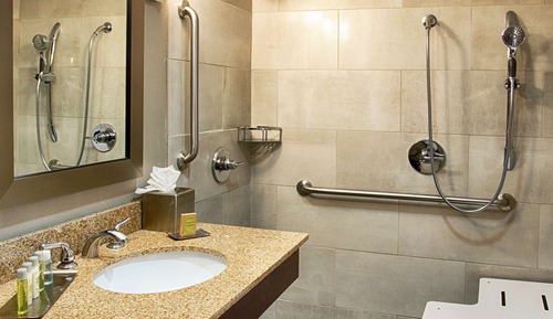 Room, 1 King Bed, Accessible, Non Smoking (Roll-in Shower)