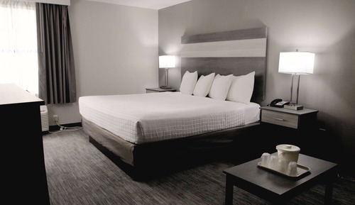 Room, 1 King Bed, Non Smoking