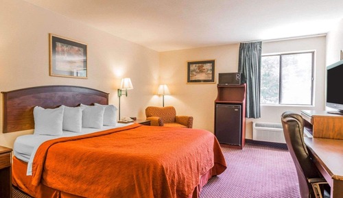 Standard Room, 1 King Bed, Non Smoking