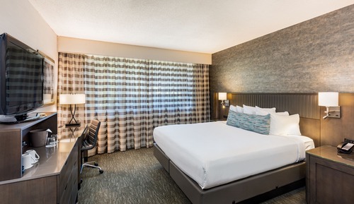 Standard Room, 1 Double Bed, Accessible