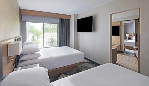 Suite, 1 Queen Bed with Sofa bed