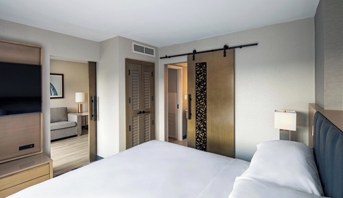 Suite, 1 King Bed with Sofa bed