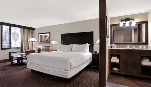 Room, 1 King Bed with Sofa bed