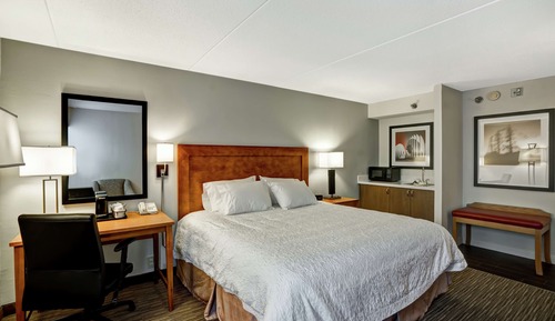 Room, 1 King Bed, Non Smoking, Refrigerator & Microwave (Wet Bar)