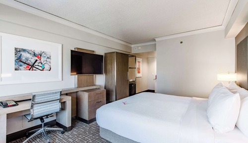 Room, 1 King Bed, Accessible