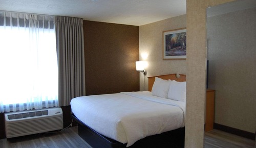 Room, 1 King Bed, Accessible, Non Smoking